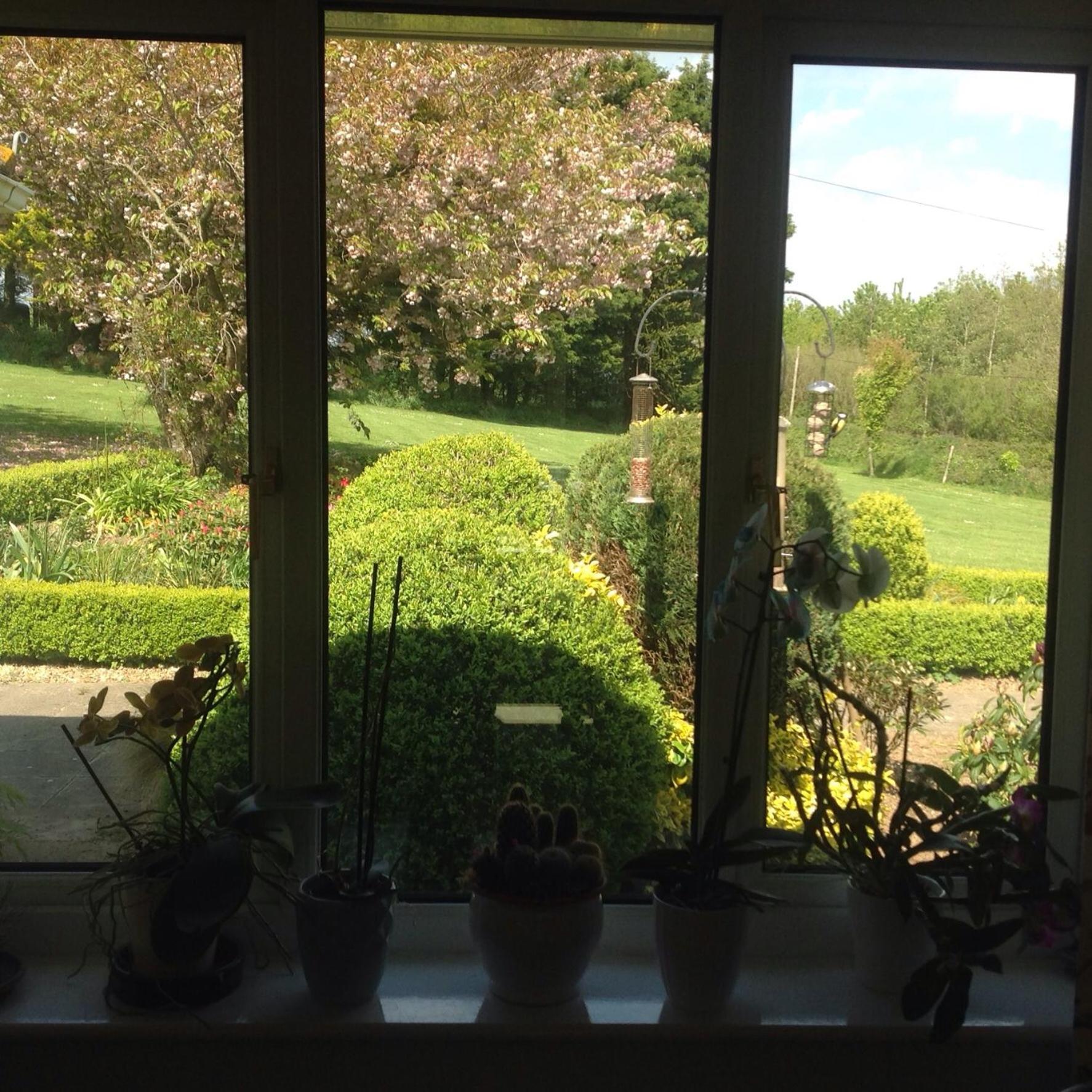 Estuary View Farm Kingsbridge (Devon) Exterior foto